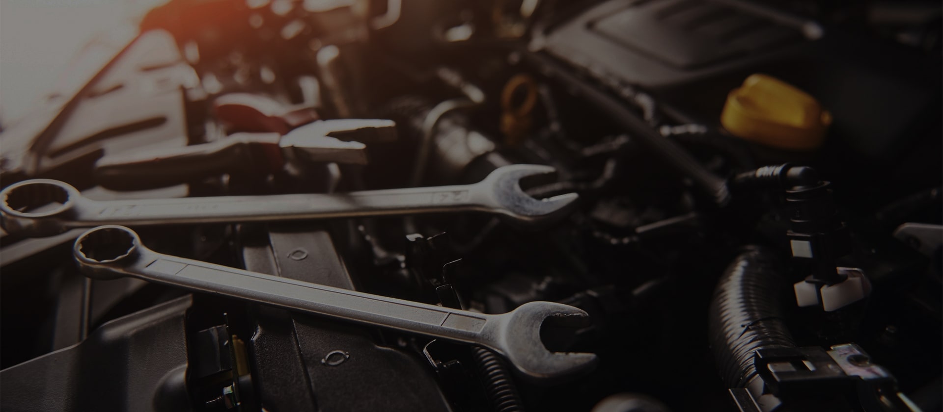 ΕΞΕΙΔΙΚΕΥΣΗ